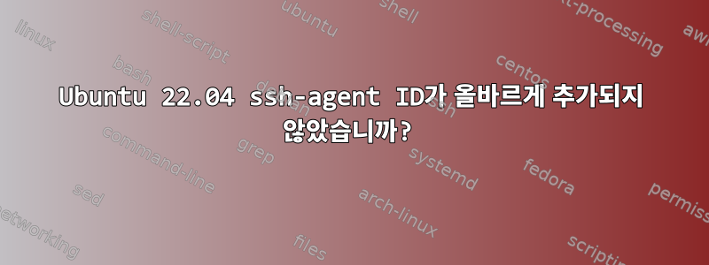 Ubuntu 22.04 ssh-agent ID가 올바르게 추가되지 않았습니까?