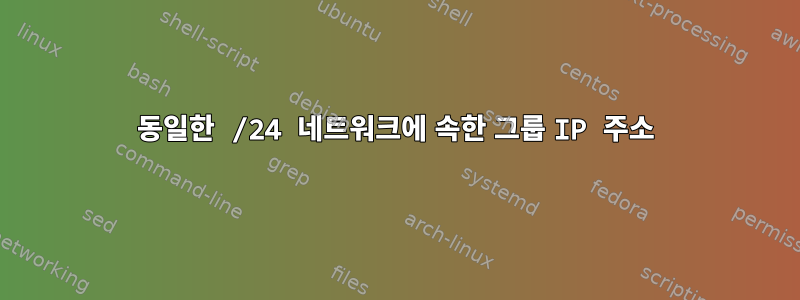 동일한 /24 네트워크에 속한 그룹 IP 주소