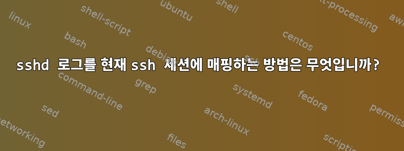 sshd 로그를 현재 ssh 세션에 매핑하는 방법은 무엇입니까?