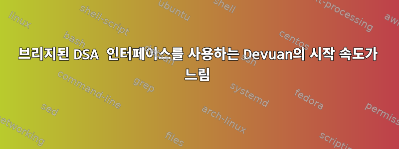 브리지된 DSA 인터페이스를 사용하는 Devuan의 시작 속도가 느림