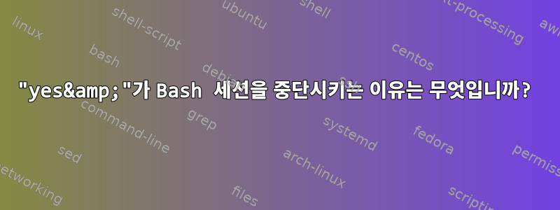 "yes&amp;"가 Bash 세션을 중단시키는 이유는 무엇입니까?