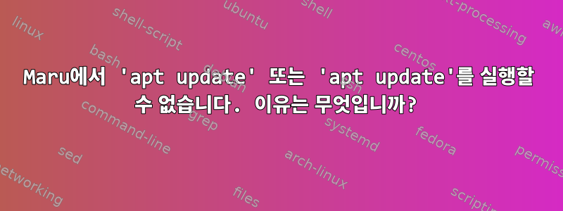 Maru에서 'apt update' 또는 'apt update'를 실행할 수 없습니다. 이유는 무엇입니까?