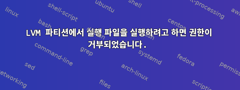 LVM 파티션에서 실행 파일을 실행하려고 하면 권한이 거부되었습니다.