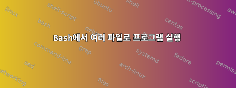 Bash에서 여러 파일로 프로그램 실행