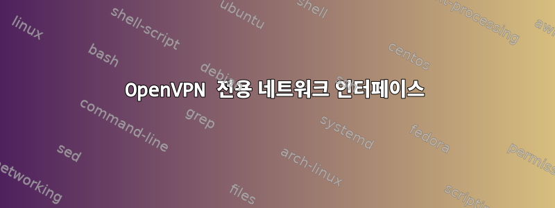 OpenVPN 전용 네트워크 인터페이스