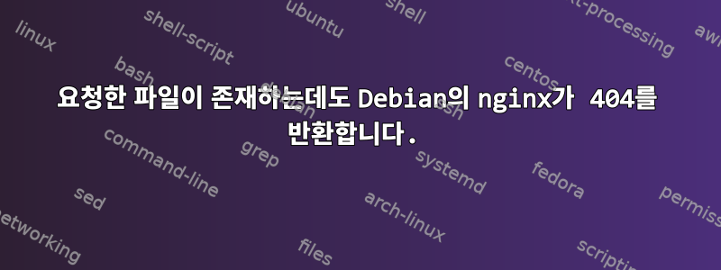 요청한 파일이 존재하는데도 Debian의 nginx가 404를 반환합니다.