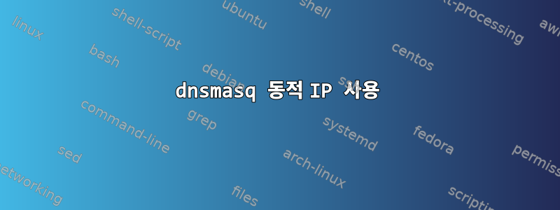 dnsmasq 동적 IP 사용