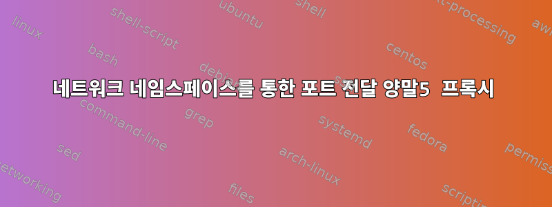 네트워크 네임스페이스를 통한 포트 전달 양말5 프록시