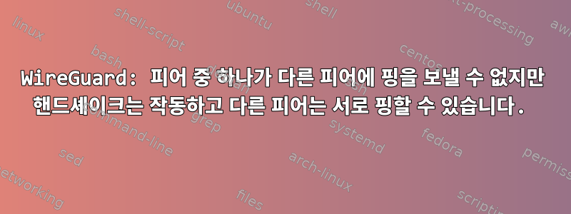 WireGuard: 피어 중 하나가 다른 피어에 핑을 보낼 수 없지만 핸드셰이크는 작동하고 다른 피어는 서로 핑할 수 있습니다.