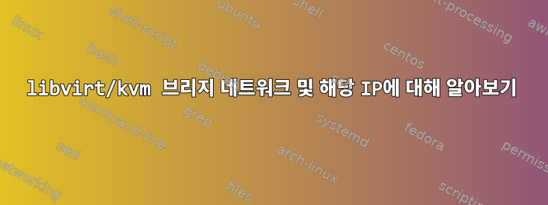 libvirt/kvm 브리지 네트워크 및 해당 IP에 대해 알아보기