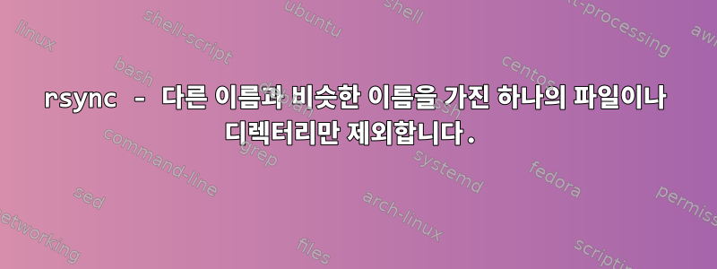 rsync - 다른 이름과 비슷한 이름을 가진 하나의 파일이나 디렉터리만 제외합니다.