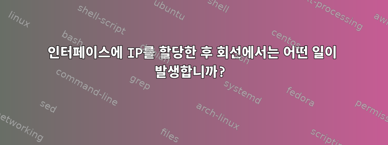 인터페이스에 IP를 할당한 후 회선에서는 어떤 일이 발생합니까?