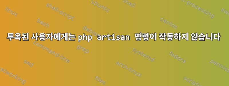 투옥된 사용자에게는 php artisan 명령이 작동하지 않습니다