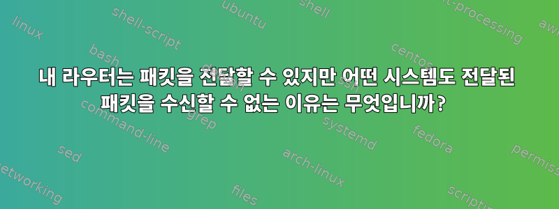 내 라우터는 패킷을 전달할 수 있지만 어떤 시스템도 전달된 패킷을 수신할 수 없는 이유는 무엇입니까?