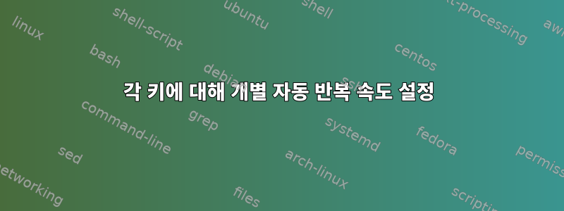 각 키에 대해 개별 자동 반복 속도 설정