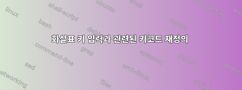 화살표 키 입력과 관련된 키코드 재정의