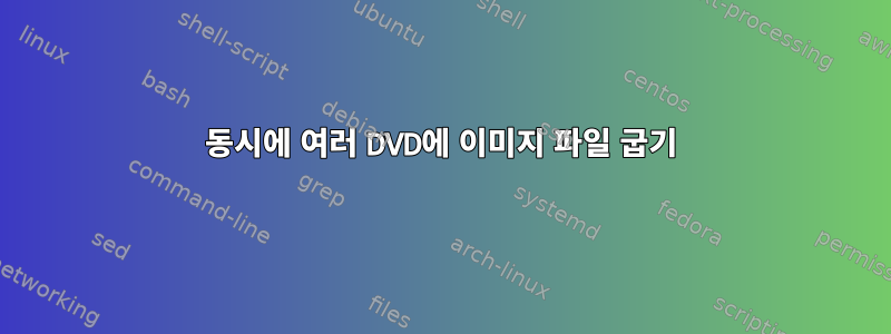 동시에 여러 DVD에 이미지 파일 굽기