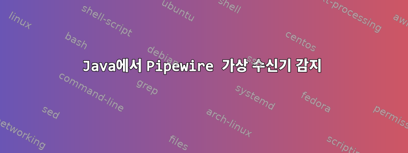 Java에서 Pipewire 가상 수신기 감지