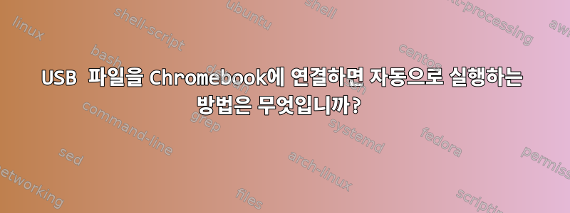 USB 파일을 Chromebook에 연결하면 자동으로 실행하는 방법은 무엇입니까?