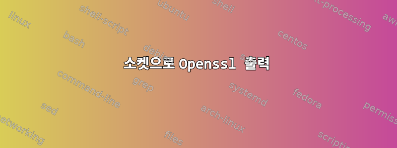 소켓으로 Openssl 출력