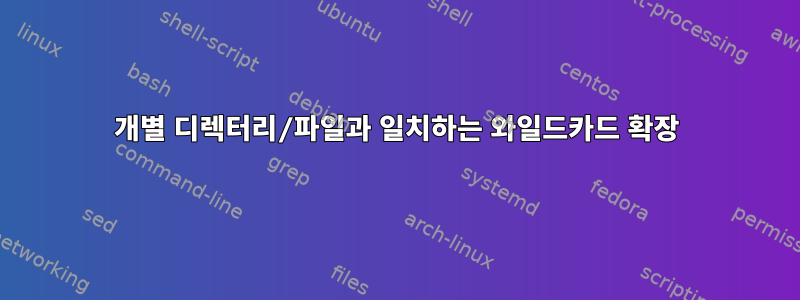 개별 디렉터리/파일과 일치하는 와일드카드 확장