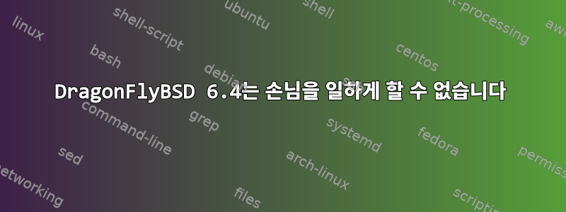 DragonFlyBSD 6.4는 손님을 일하게 할 수 없습니다