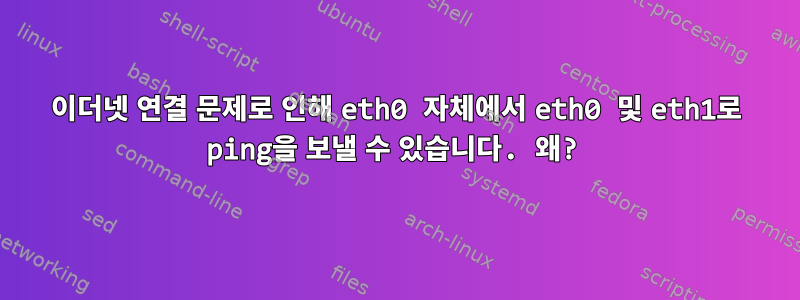 이더넷 연결 문제로 인해 eth0 자체에서 eth0 및 eth1로 ping을 보낼 수 있습니다. 왜?