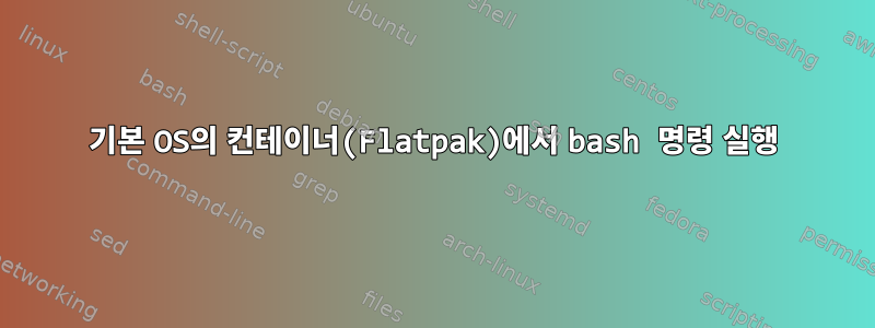 기본 OS의 컨테이너(Flatpak)에서 bash 명령 실행