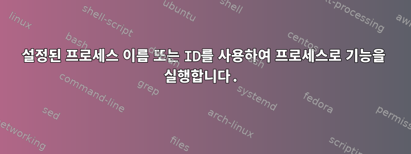 설정된 프로세스 이름 또는 ID를 사용하여 프로세스로 기능을 실행합니다.