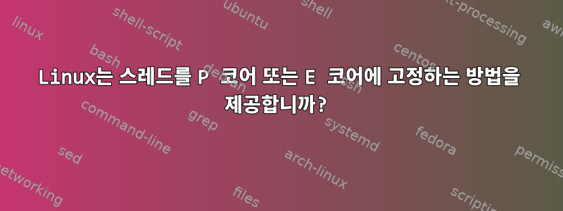 Linux는 스레드를 P 코어 또는 E 코어에 고정하는 방법을 제공합니까?