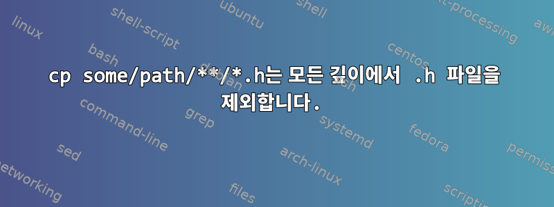 cp some/path/**/*.h는 모든 깊이에서 .h 파일을 제외합니다.