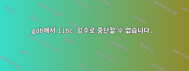 gdb에서 libc 함수로 중단할 수 없습니다.