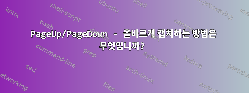 PageUp/PageDown - 올바르게 캡처하는 방법은 무엇입니까?