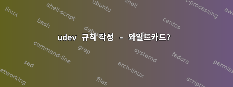 udev 규칙 작성 - 와일드카드?