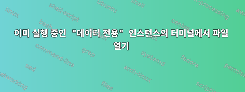 이미 실행 중인 "데이터 전용" 인스턴스의 터미널에서 파일 열기