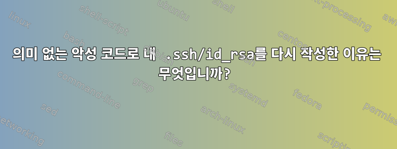 의미 없는 악성 코드로 내 .ssh/id_rsa를 다시 작성한 이유는 무엇입니까?