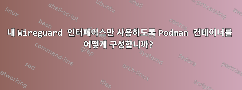 내 Wireguard 인터페이스만 사용하도록 Podman 컨테이너를 어떻게 구성합니까?