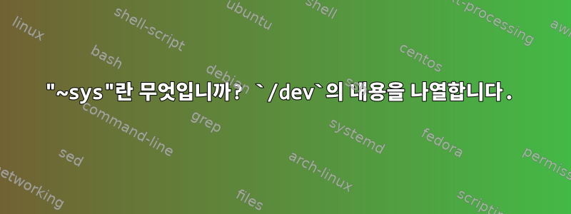 "~sys"란 무엇입니까? `/dev`의 내용을 나열합니다.