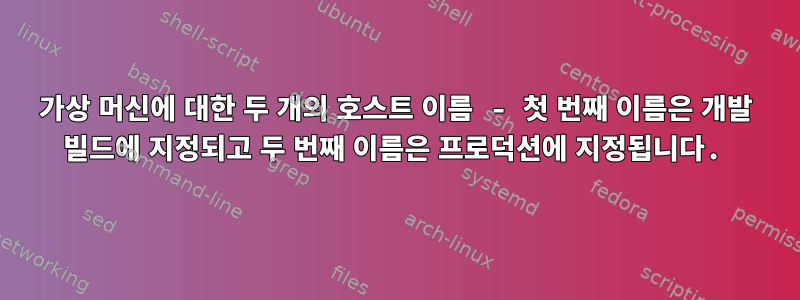 가상 머신에 대한 두 개의 호스트 이름 - 첫 번째 이름은 개발 빌드에 지정되고 두 번째 이름은 프로덕션에 지정됩니다.