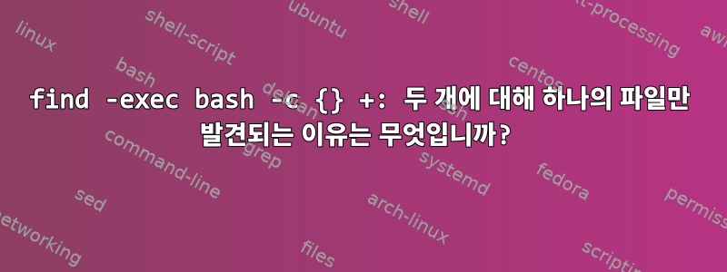 find -exec bash -c {} +: 두 개에 대해 하나의 파일만 발견되는 이유는 무엇입니까?