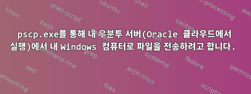 pscp.exe를 통해 내 우분투 서버(Oracle 클라우드에서 실행)에서 내 Windows 컴퓨터로 파일을 전송하려고 합니다.