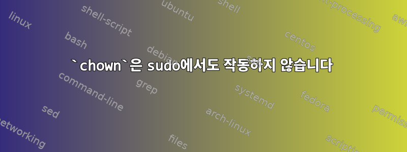 `chown`은 sudo에서도 작동하지 않습니다