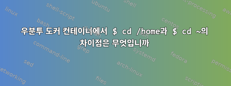 우분투 도커 컨테이너에서 $ cd /home과 $ cd ~의 차이점은 무엇입니까