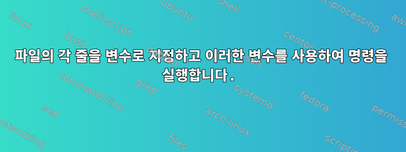 파일의 각 줄을 변수로 지정하고 이러한 변수를 사용하여 명령을 실행합니다.