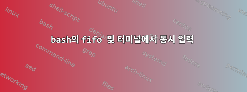 bash의 fifo 및 터미널에서 동시 입력