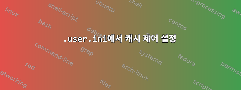 .user.ini에서 캐시 제어 설정