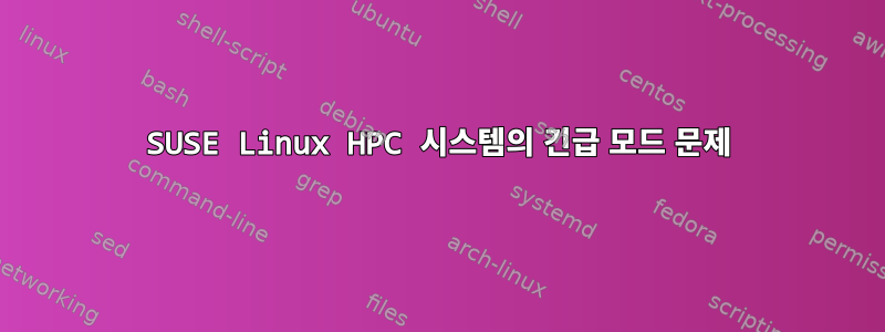 SUSE Linux HPC 시스템의 긴급 모드 문제