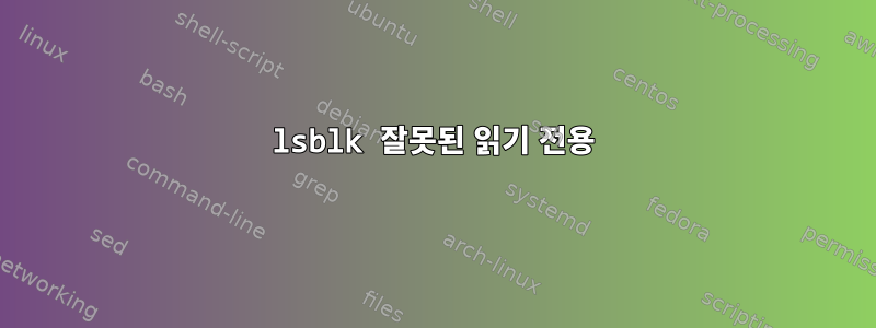 lsblk 잘못된 읽기 전용