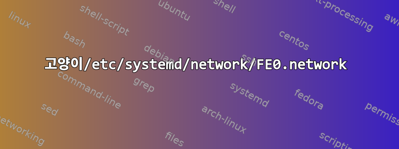 고양이/etc/systemd/network/FE0.network