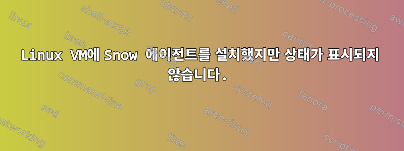 Linux VM에 Snow 에이전트를 설치했지만 상태가 표시되지 않습니다.